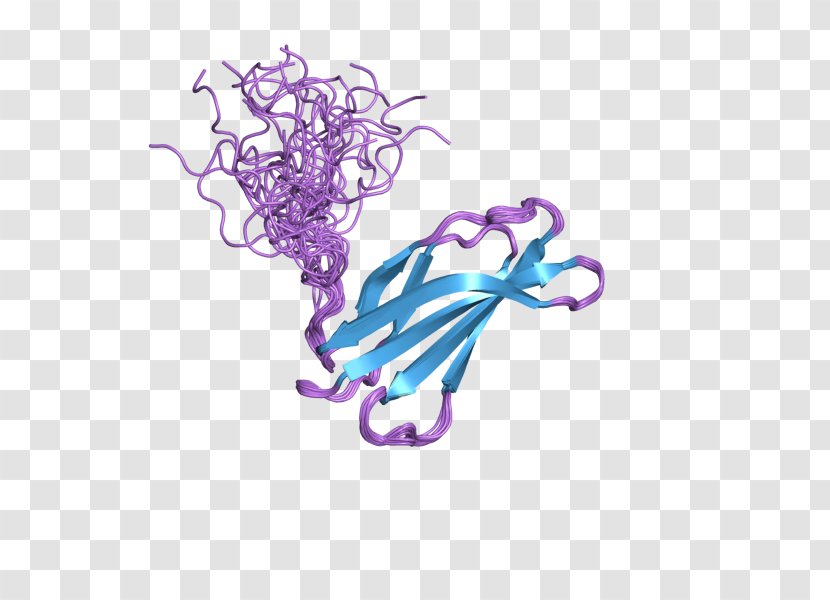 Fibronectin Protein Domain Integrin Dimer - Cartoon - Flower Transparent PNG