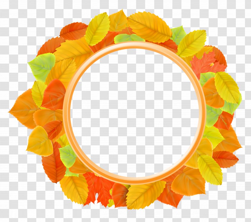 Leaf Picture Frame Clip Art - Image Resolution - Autumn Leaves Clipart Transparent PNG