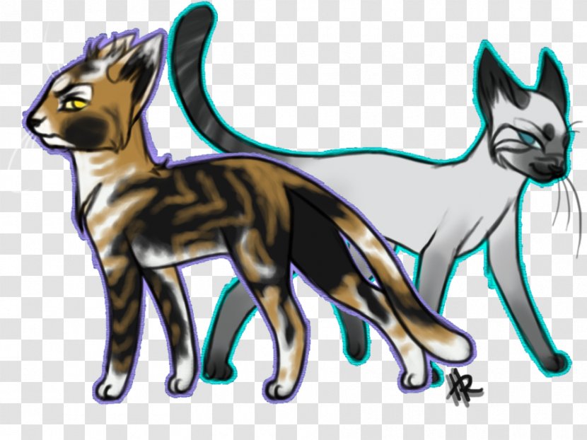 Whiskers Kitten Wildcat Red Fox Transparent PNG