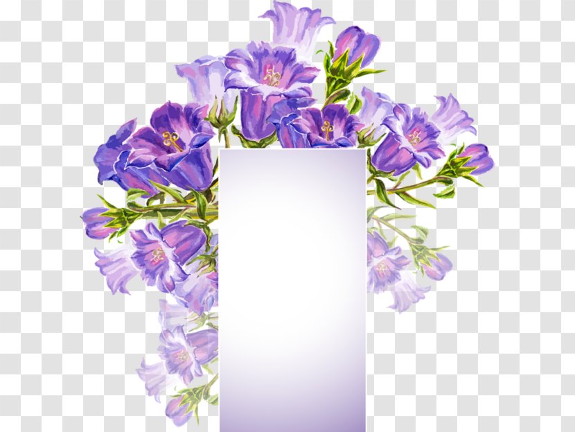 Flower Floral Design Picture Frames Borders And - Bellflower Transparent PNG