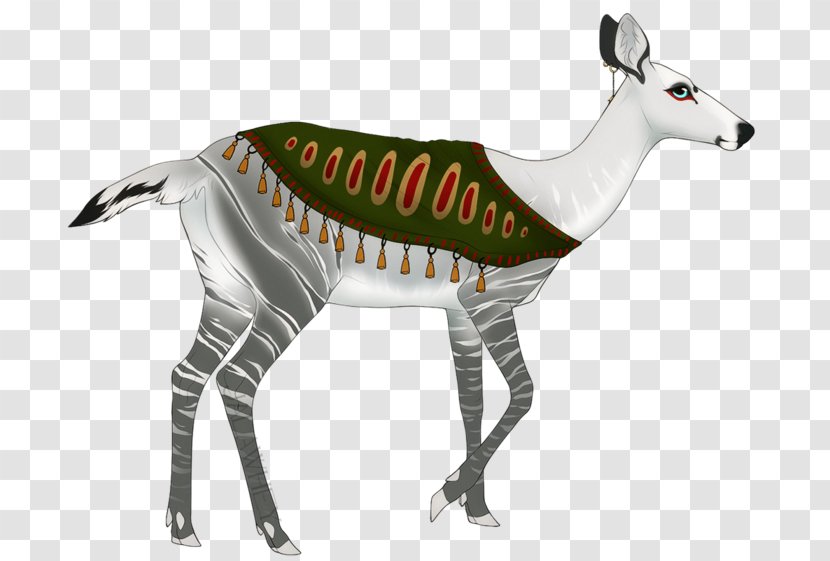 Okapi Deer Fauna Wildlife Animal - Organism Transparent PNG