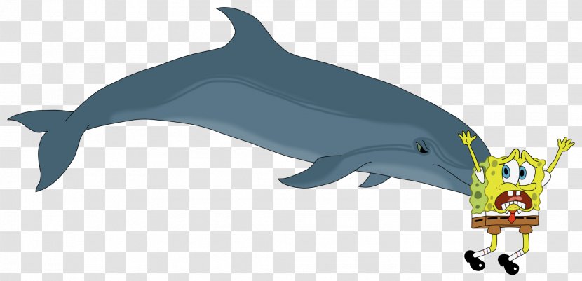 Common Bottlenose Dolphin The Southern Right Whale Clip Art - Rough Toothed Transparent PNG