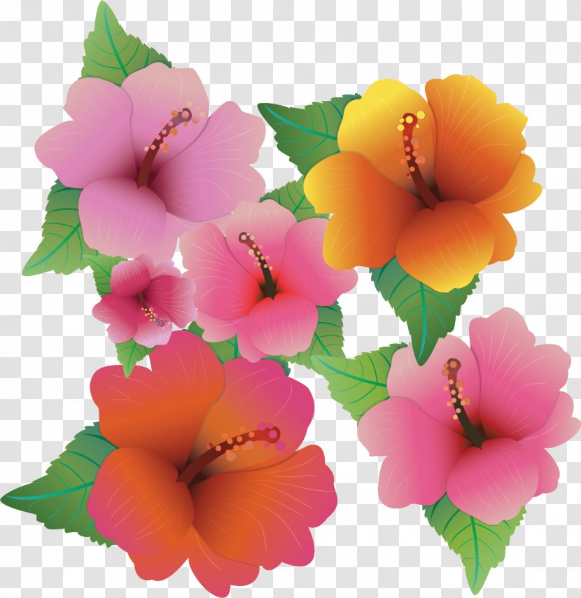 Flower - Hibiscus - Petal Transparent PNG