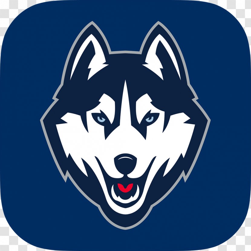 University Of Connecticut Huskies Women's Basketball Football Men's NCAA Division I Tournament - Fictional Character - Husky Transparent PNG