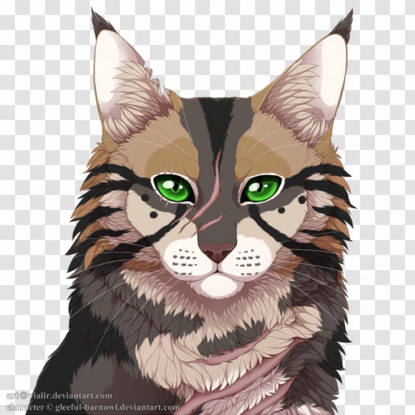 Whiskers Wildcat Tabby Cat Fauna - Kitten Transparent PNG