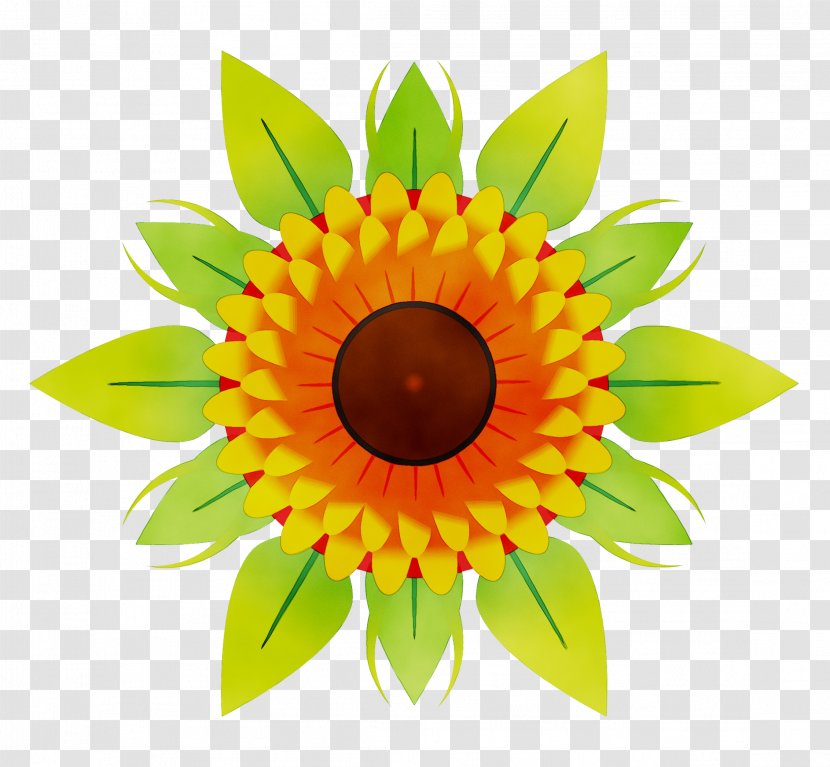 Vector Graphics Clip Art Flower Bouquet - Yellow Transparent PNG