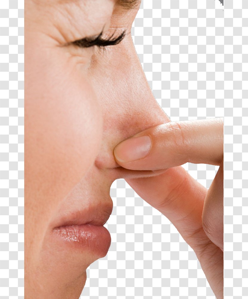 Nosebleed Disease Woman Euclidean Vector - Silhouette - Nose Smell The Taste Of High-definition Buckle Material Transparent PNG