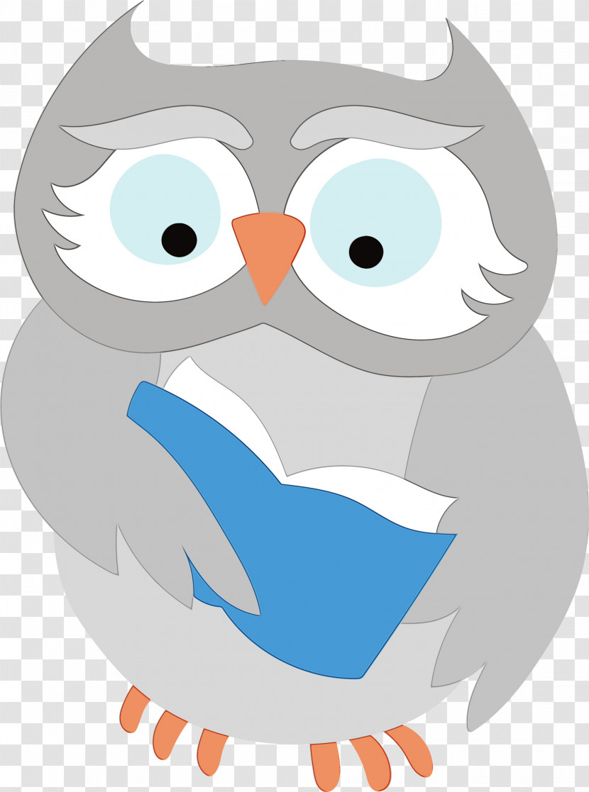 Birds Cartoon Beak Owl M Bird Of Prey Transparent PNG