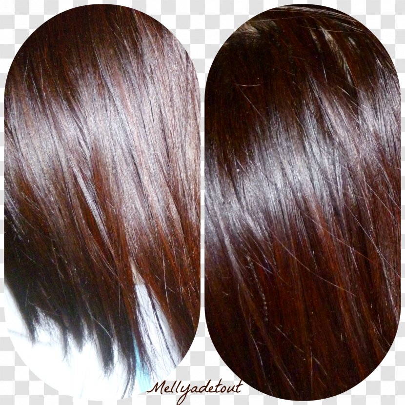 Dyer's Alkanet Hair Coloring Brown Step Cutting Layered - Chin - Henne Transparent PNG
