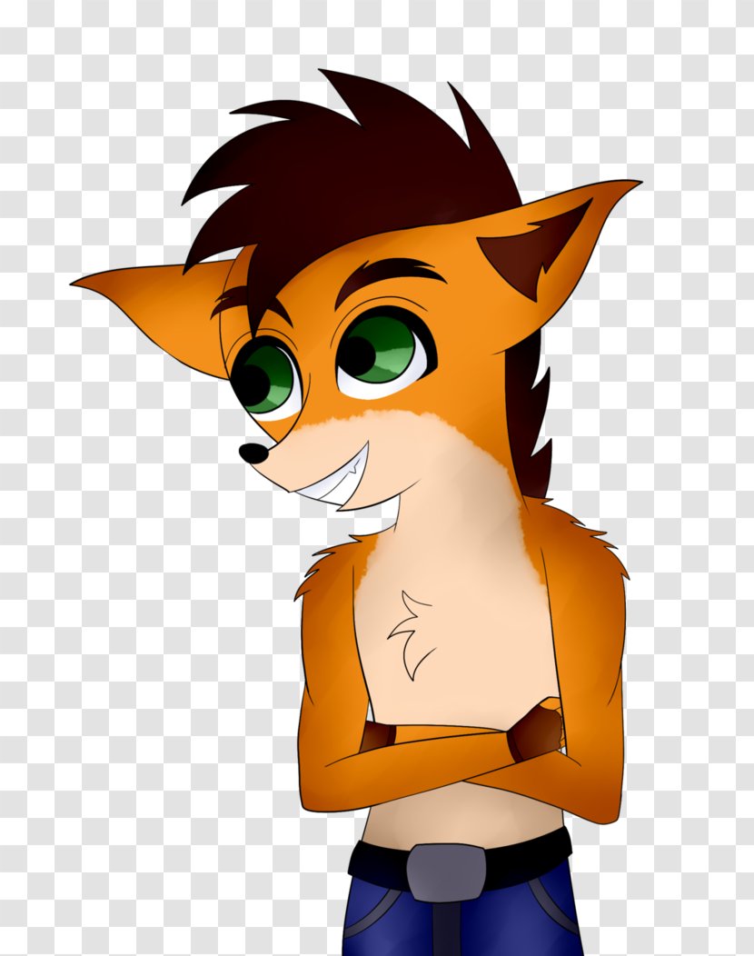 Fox Canidae Fiction Carnivora - Frame - Crash Bandicoot Transparent PNG