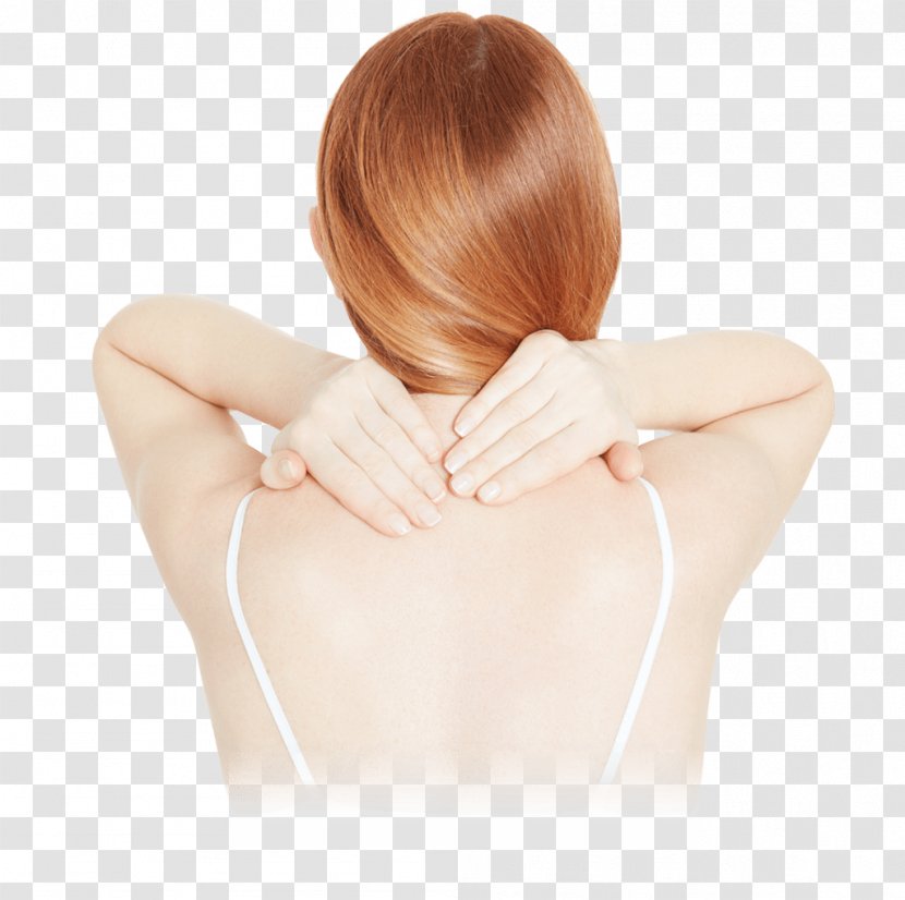 Neck Pain In Spine Vertebral Column Shoulder - Ear - Smooth Muscle Tissue Transparent PNG