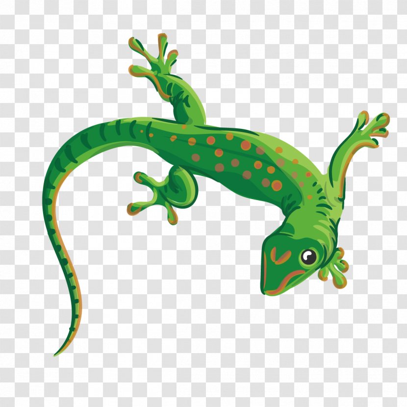 Reptile Lizard Chameleons Euclidean Vector Illustration - Crocodile - Green Gecko Transparent PNG