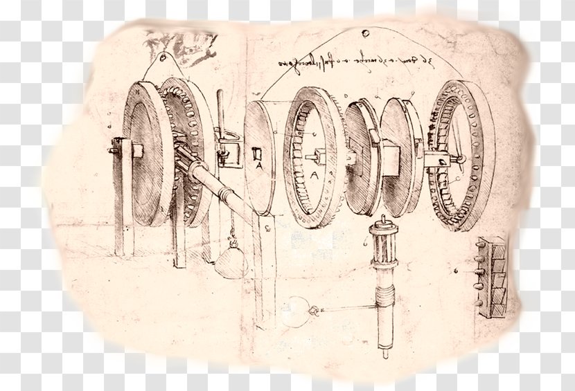 Codex Madrid Atlanticus Anchiano Vinci Drawing - Tree - Design Transparent PNG