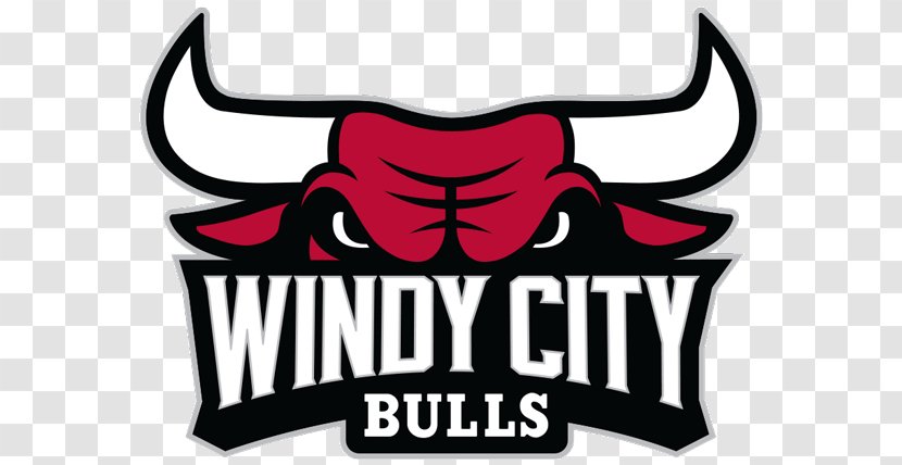 Sears Centre Arena Windy City Bulls NBA Development League Chicago Canton Charge - Basketball - Nba Transparent PNG