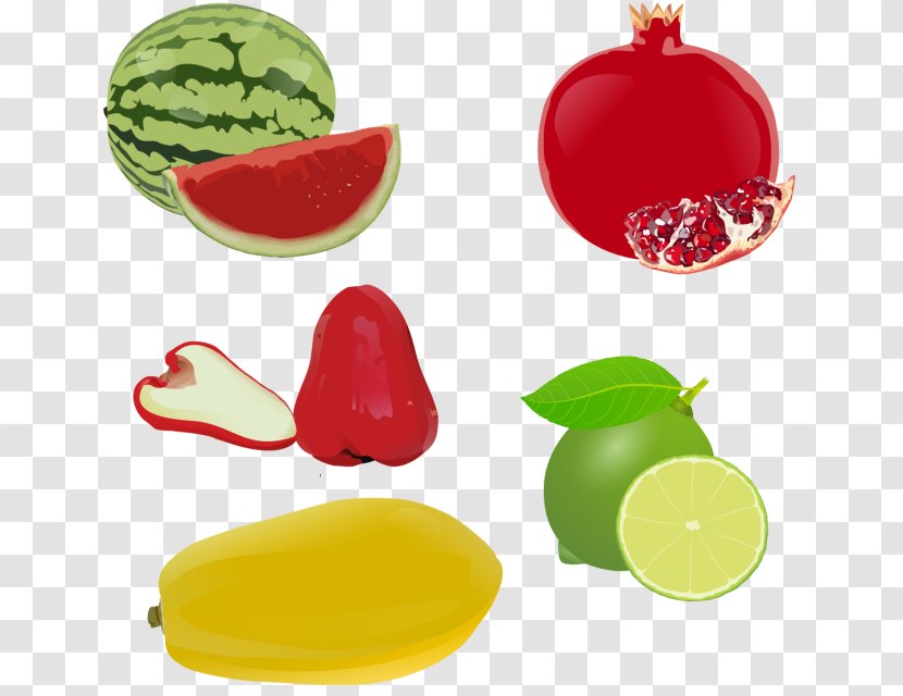 Watermelon Clip Art Drawing Fruit Painting - Gourd Transparent PNG
