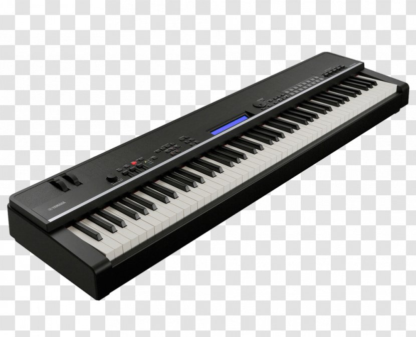 Nord Electro Stage Piano Yamaha CP4 Corporation - Tree - Electronic Transparent PNG