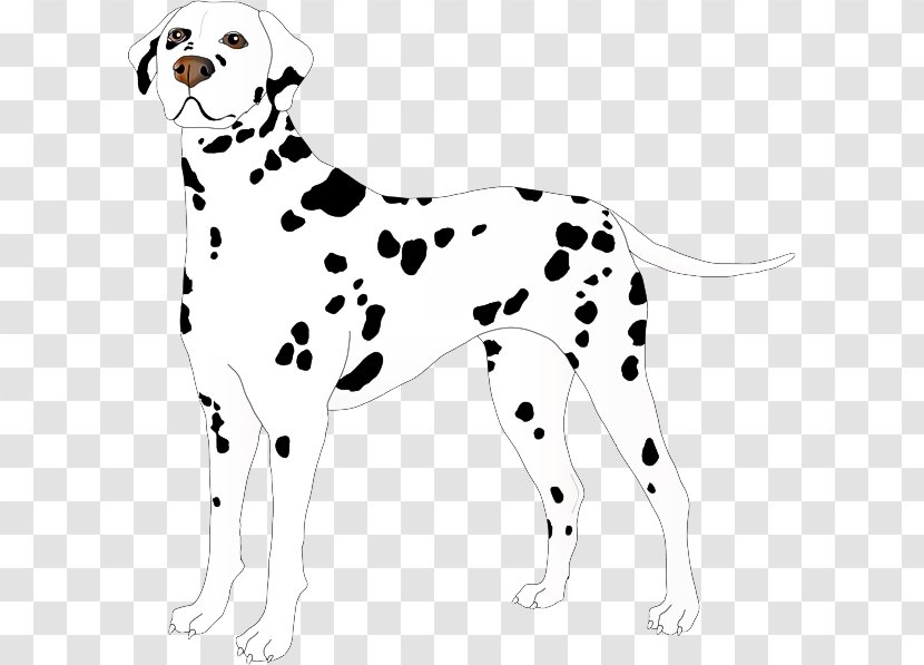 Dog Dalmatian Non-sporting Group Sporting - Nonsporting Transparent PNG