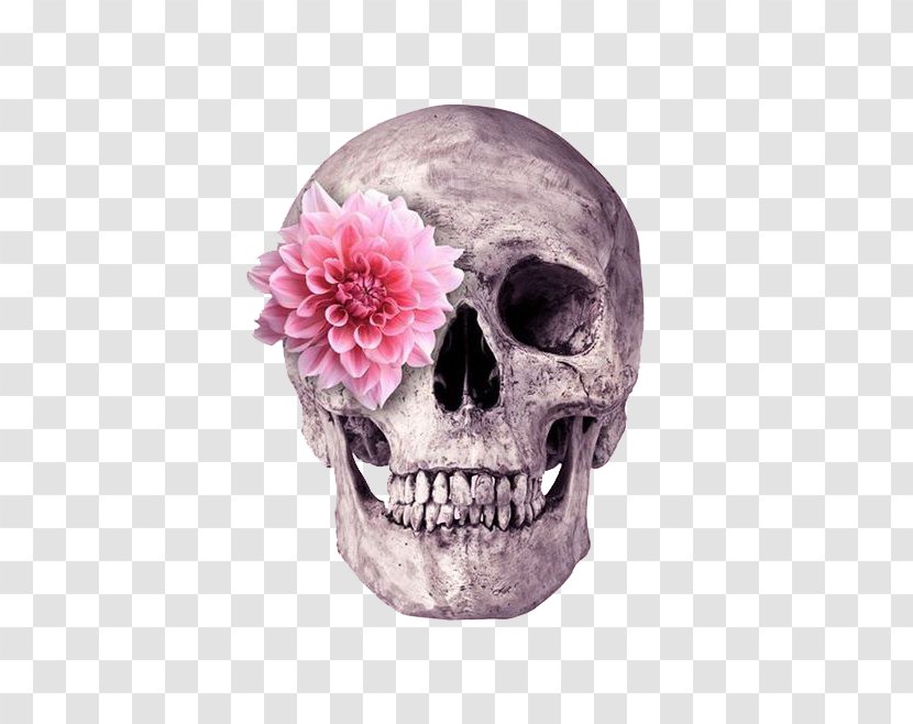 Skull Flower Skeleton Printing - Human - Flowers Head Transparent PNG