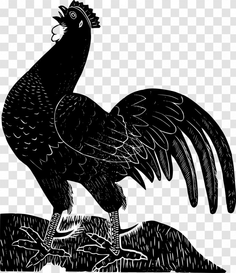 Ayam Cemani Leghorn Chicken Rooster Poultry Farming Clip Art - Livestock - Godzilla Transparent PNG