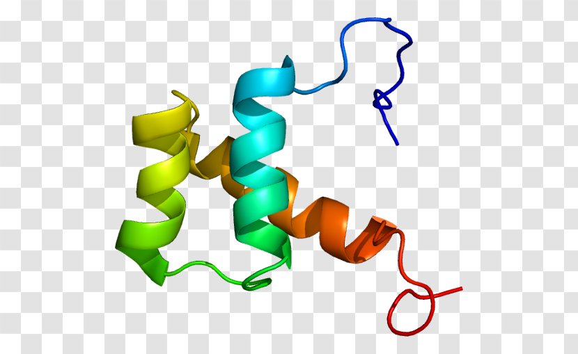 DLX5 DLX2 Homeobox DLX Gene Family Protein - Structure - Text Transparent PNG