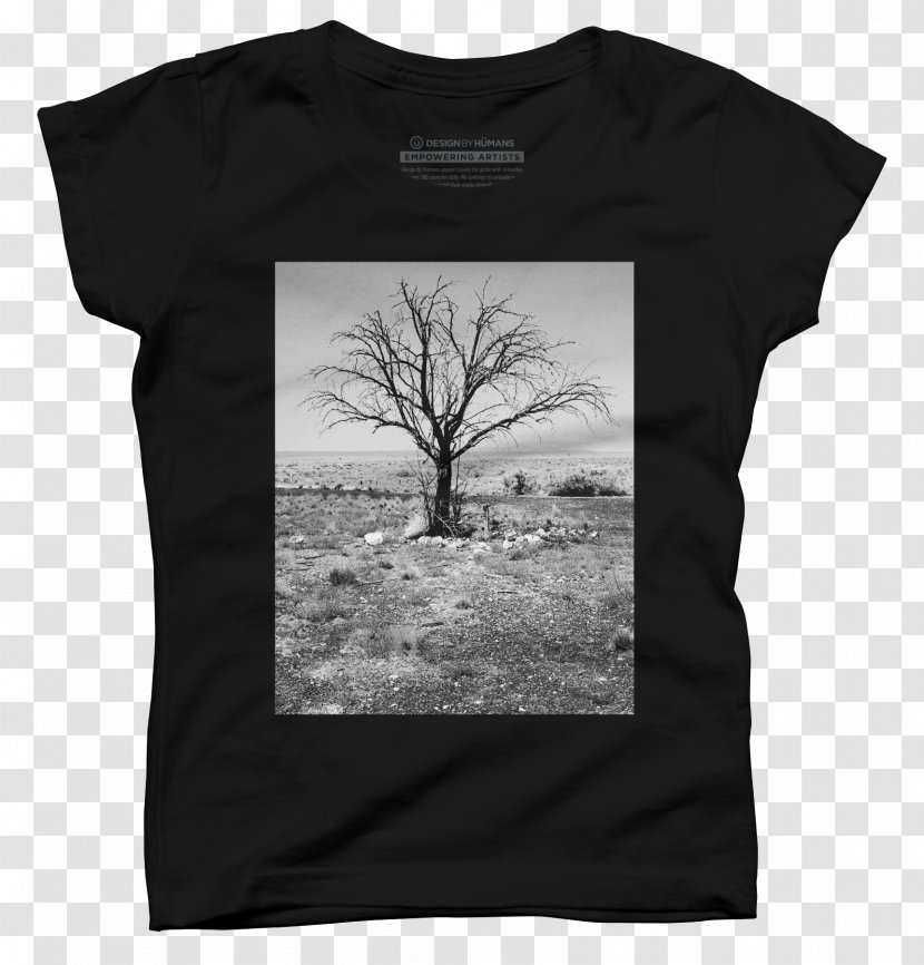 T-shirt Arizona Sleeve Photography Landscape Painting - Abstract Art Transparent PNG