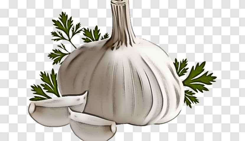 Garlic Mexican Cuisine Plant Tableware Sign Transparent PNG