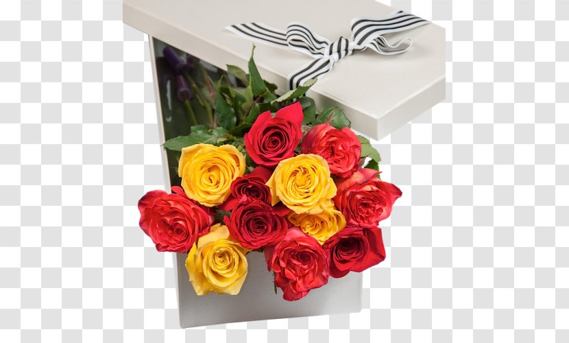 Garden Roses Cut Flowers Floral Design - Flower Transparent PNG