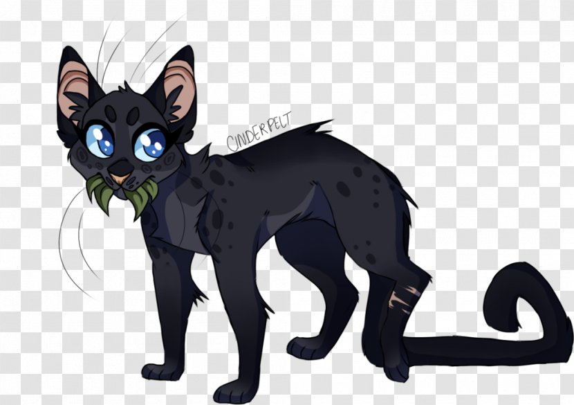 Black Cat Whiskers ThunderClan Medicine - Small To Medium Sized Cats Transparent PNG