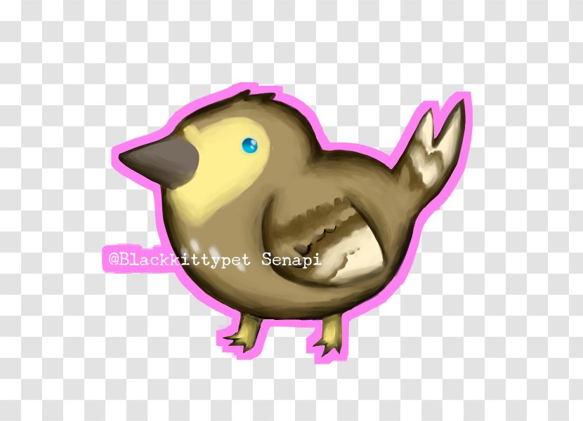 Duck Chicken Cygnini Goose Bird Transparent PNG