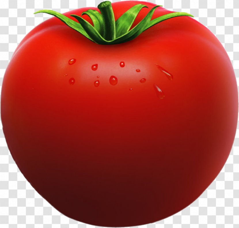 Tomato Juice Clip Art Vegetable Plum - Food Transparent PNG