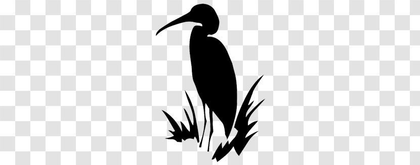 Green Heron Crane Bird Clip Art Transparent PNG
