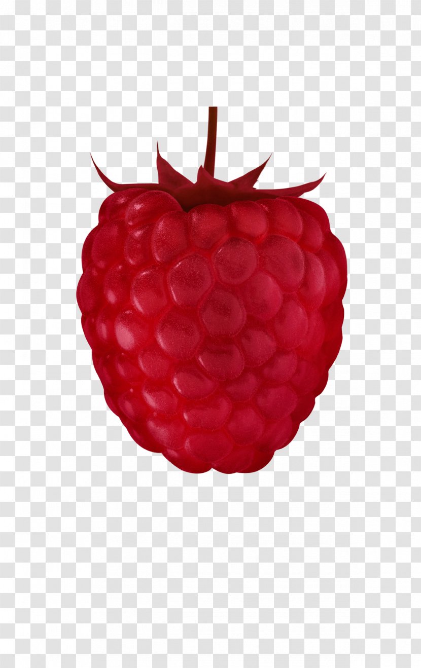 Red Raspberry Accessory Fruit Auglis - Natural Foods - Menschlich Gesehen Ziemlich Abstossend Transparent PNG