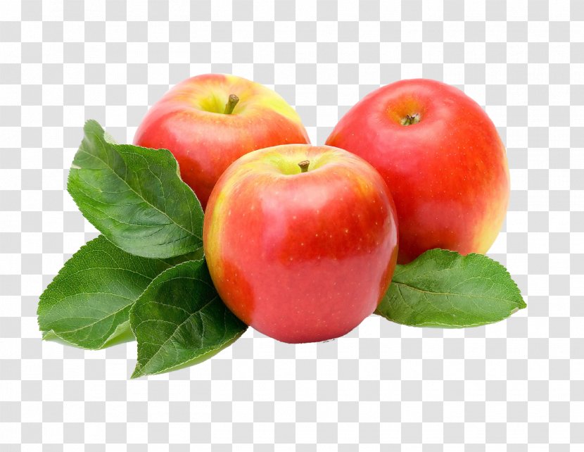Apple Juice Fruit Red Delicious - Malpighia Transparent PNG