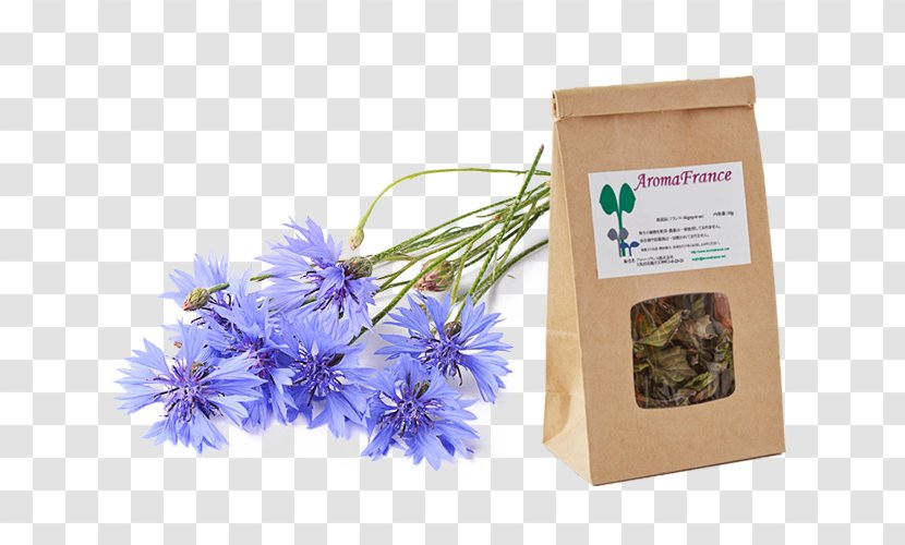 Herb Lavender Gift - Petal Transparent PNG