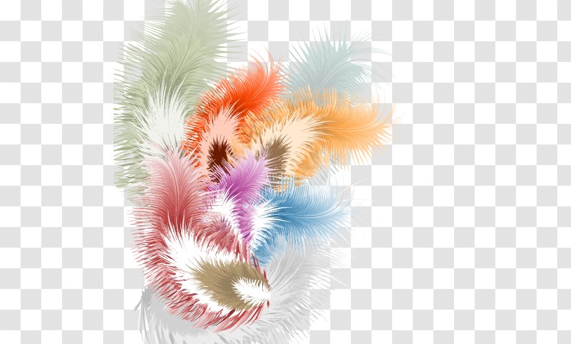 Feather Royalty-free Illustration - Royaltyfree - Colored Feathers Transparent PNG