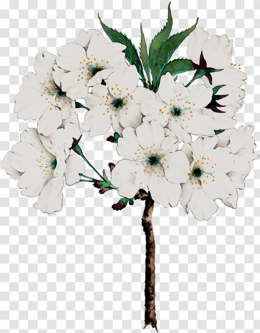 Cut Flowers Twig Floral Design Flower Bouquet - Cherry Blossom Transparent PNG