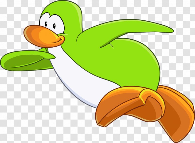 Duck Club Penguin Clothing Original - Ducks Geese And Swans Transparent PNG