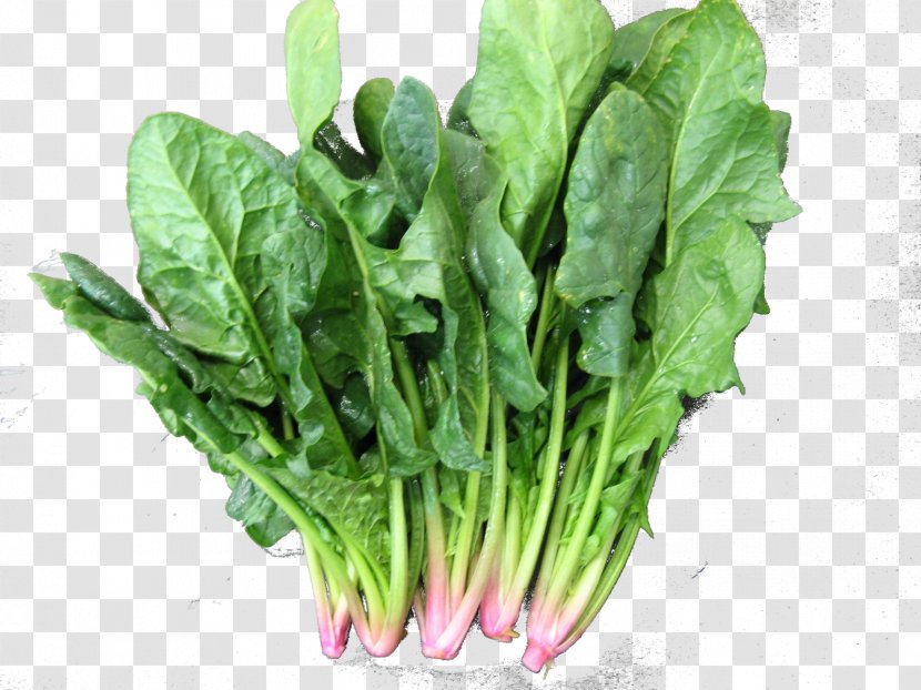 Spinach Leaf Vegetable Chard Broccoli - Kai Lan Transparent PNG