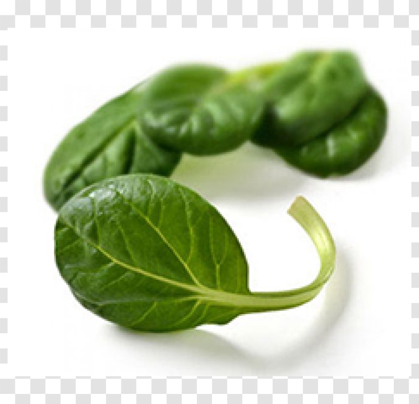 Mesclun Spinach Tatsoi Leaf Lettuce Vegetable - Root Vegetables Transparent PNG