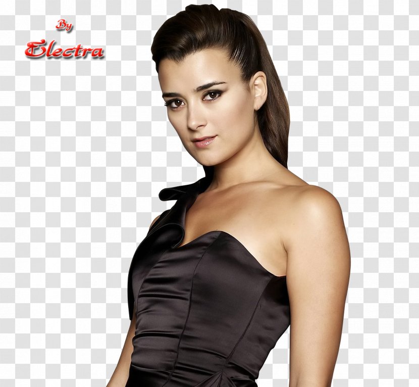 Cote De Pablo NCIS Ziva David Chile Special Agent Anthony DiNozzo - Cartoon - LDF Transparent PNG