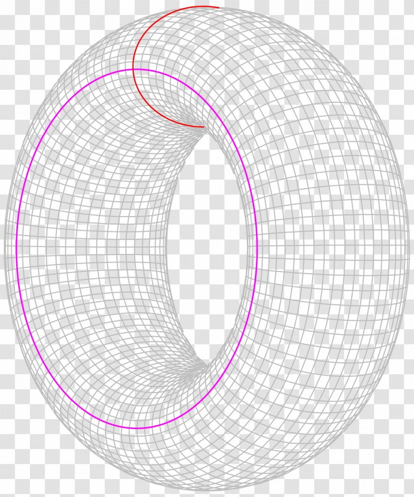 Torus Mathematical Problem Circle Mathematics Collatz Conjecture - Theorem Transparent PNG