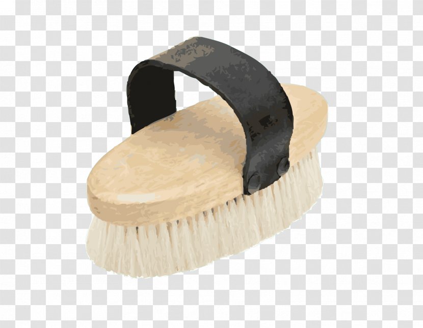 Brush Horse Pony Tool Hair - Learning Transparent PNG