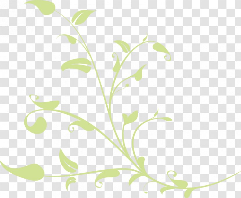 Twig Plant Stem Leaf Flower Clip Art - Sweet-scented Osmanthus Transparent PNG