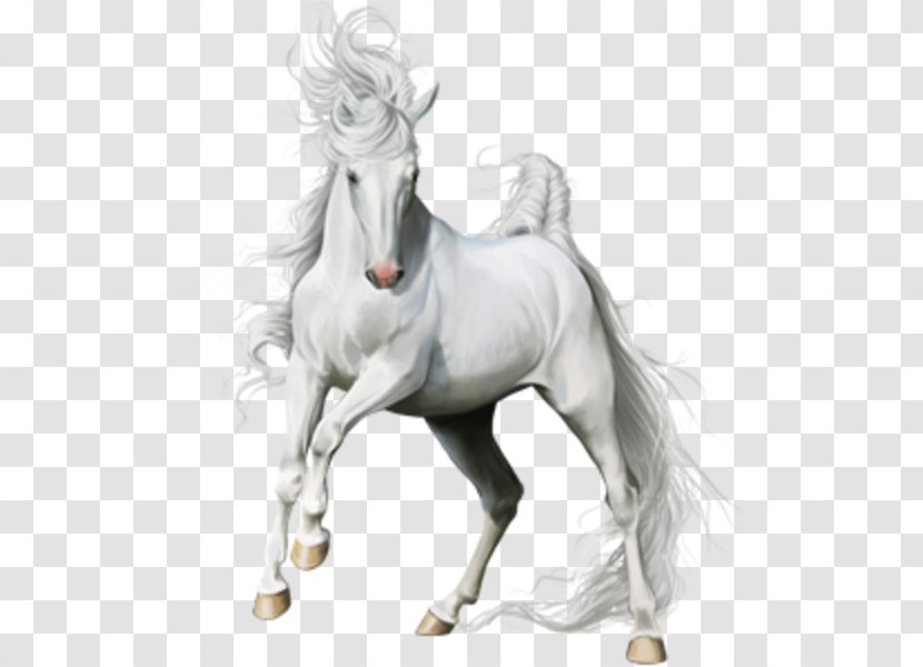 Howrse American Paint Horse Thoroughbred Mustang Gypsy Transparent PNG