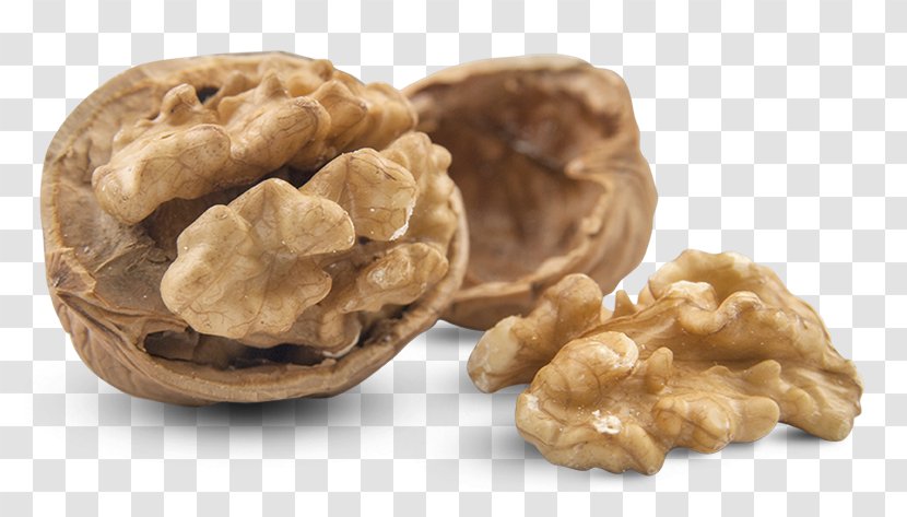 Walnut Hazelnut Almond - Superfood Transparent PNG
