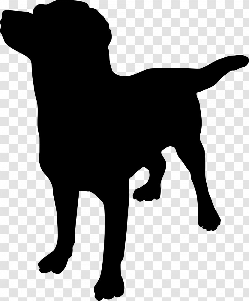 Puppy Piperton Pet Hospital Great Dane French Bulldog Rottweiler Transparent PNG