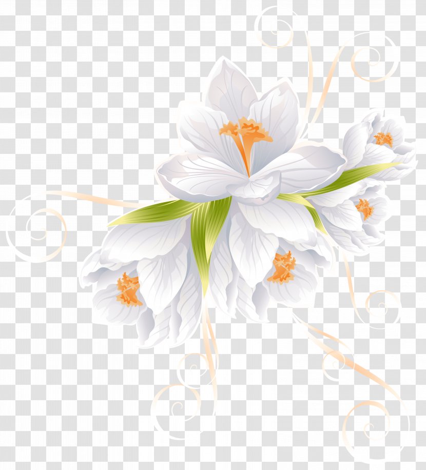 Flower Clip Art - Lilium - White Decor Transparent Image Transparent PNG