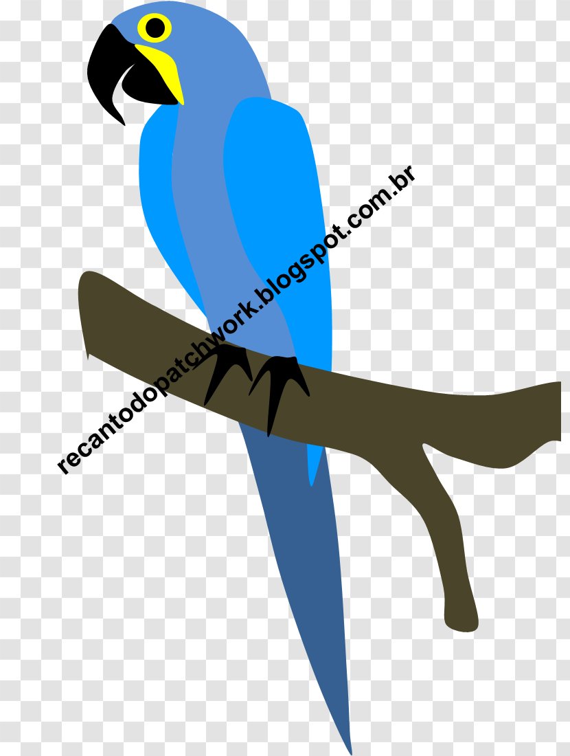 Macaw Clip Art Beak Line Microsoft Azure - Wing - Arara Transparent PNG