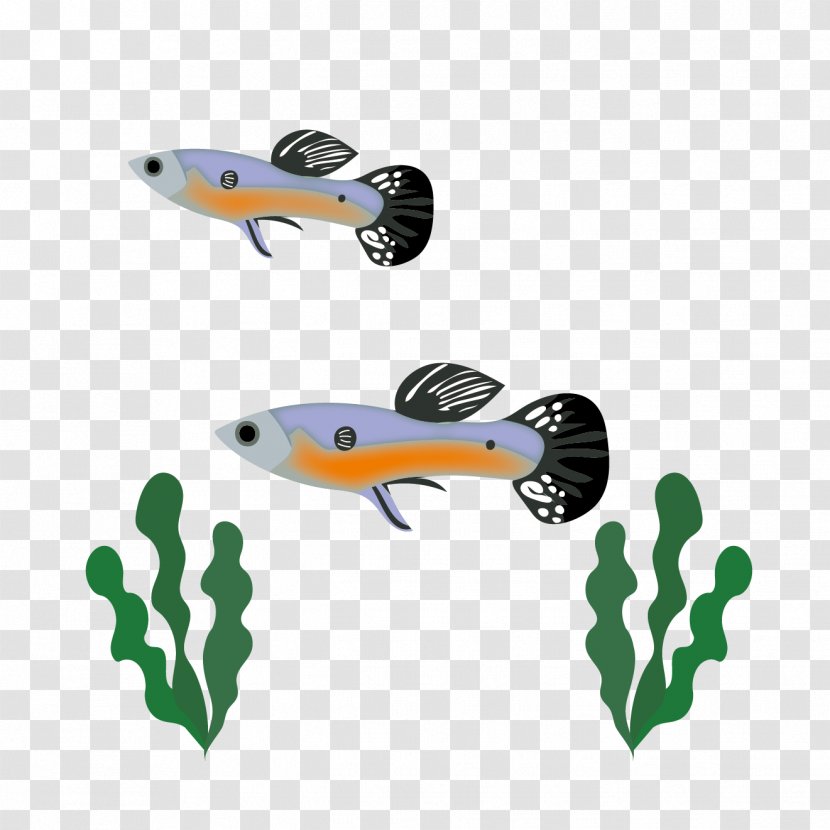 Fish Clip Art - Organism - Design Transparent PNG