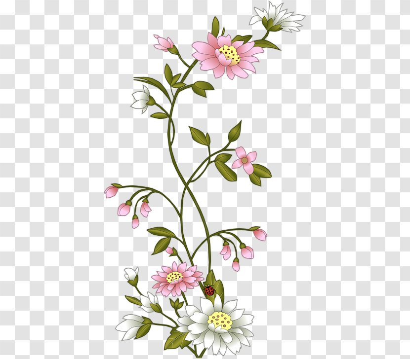 Flower - Plant - Petal Transparent PNG